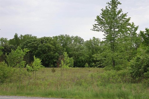 LAND - Birch Run, MI
