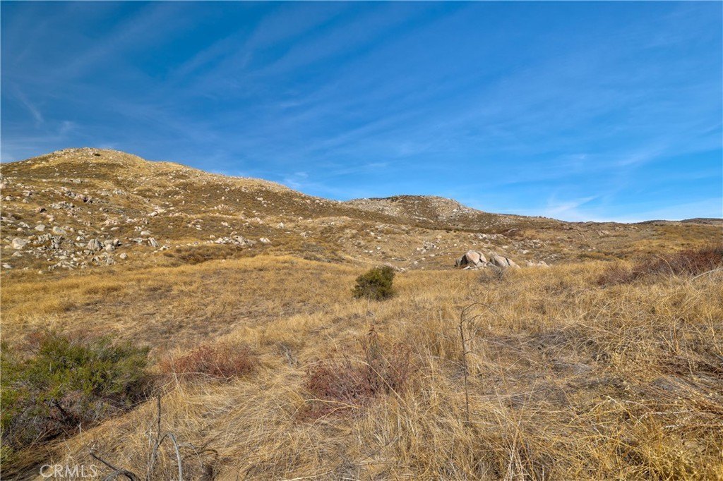 Picture 13
