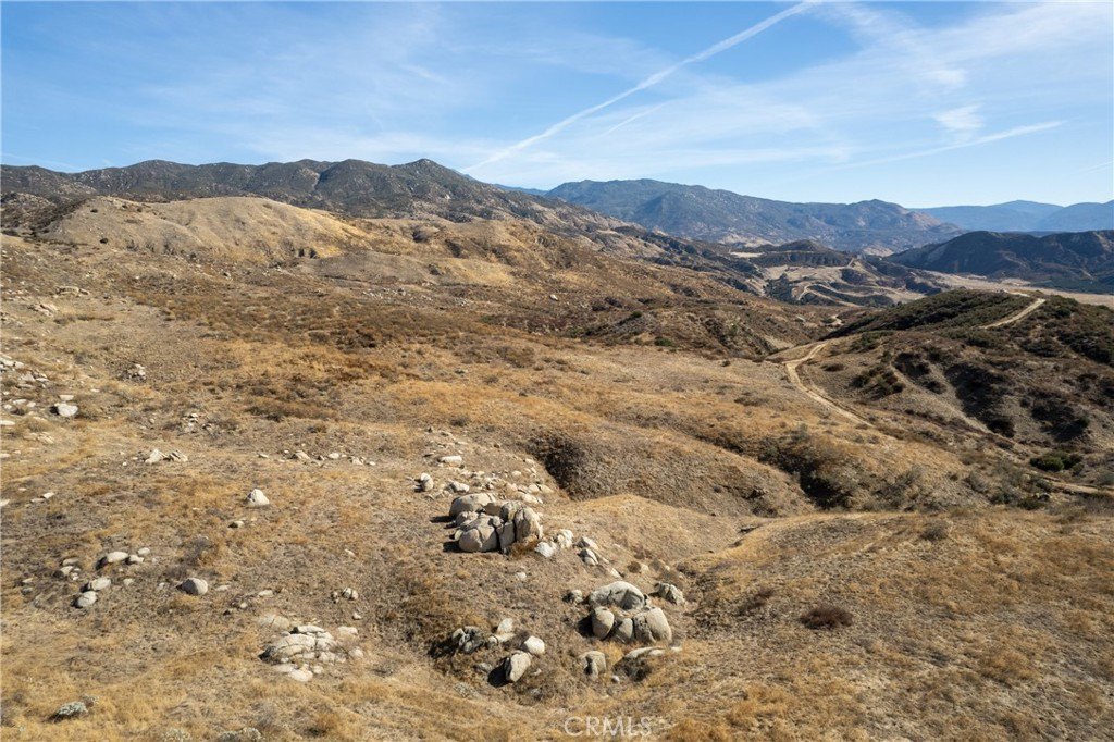 Picture 38
