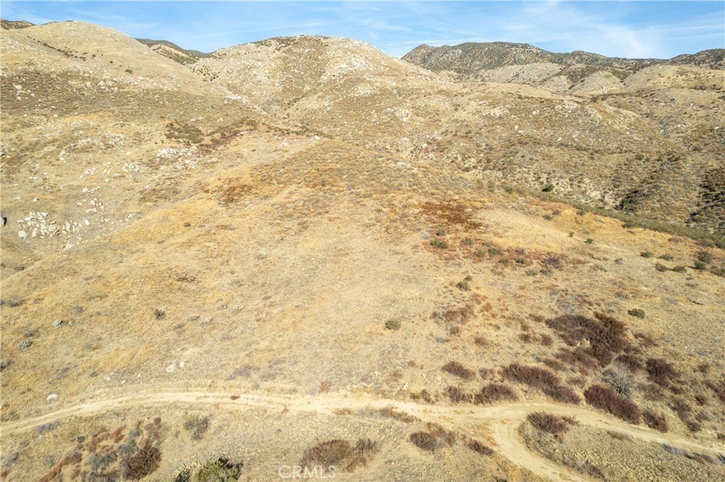 Picture 31