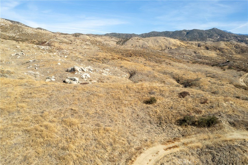 Picture 37