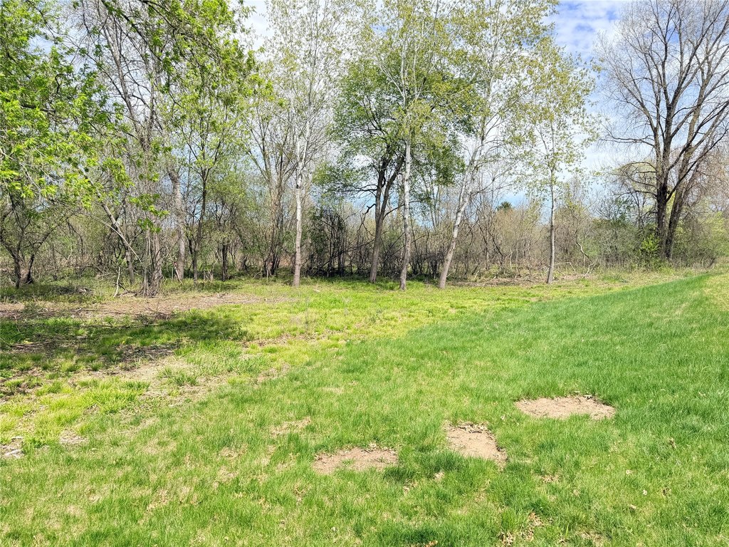 Picture 14