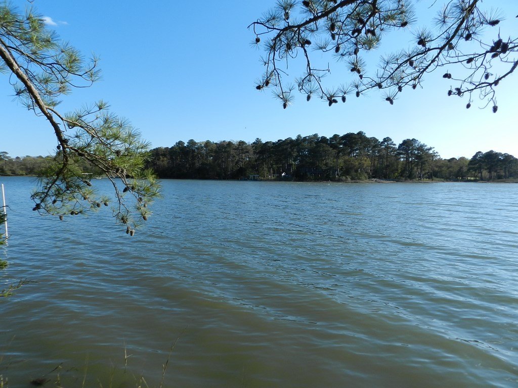 Picture 6