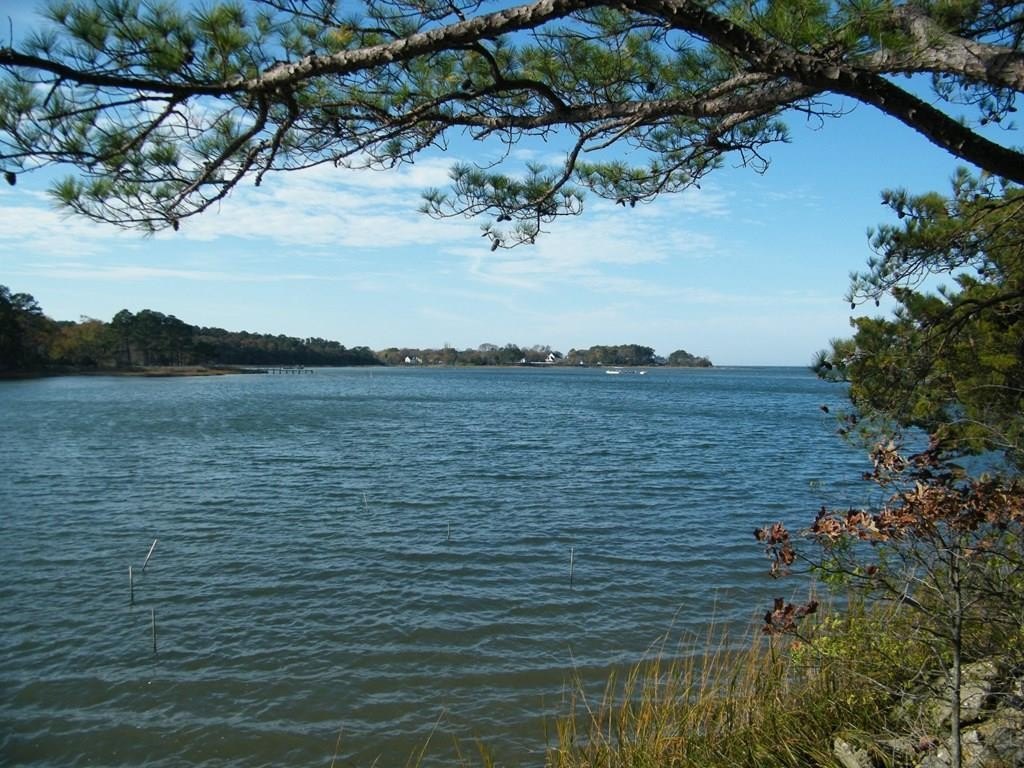 Picture 2