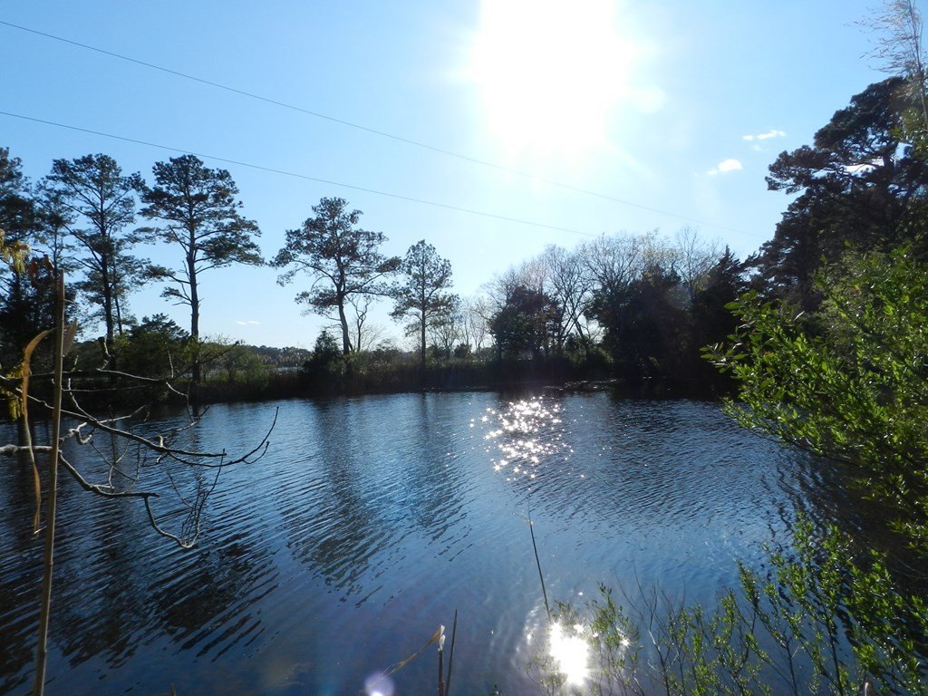Picture 10
