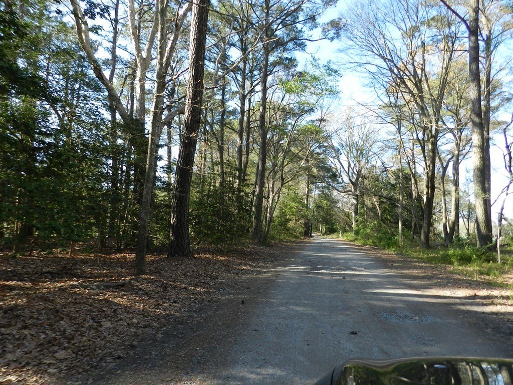 Picture 22