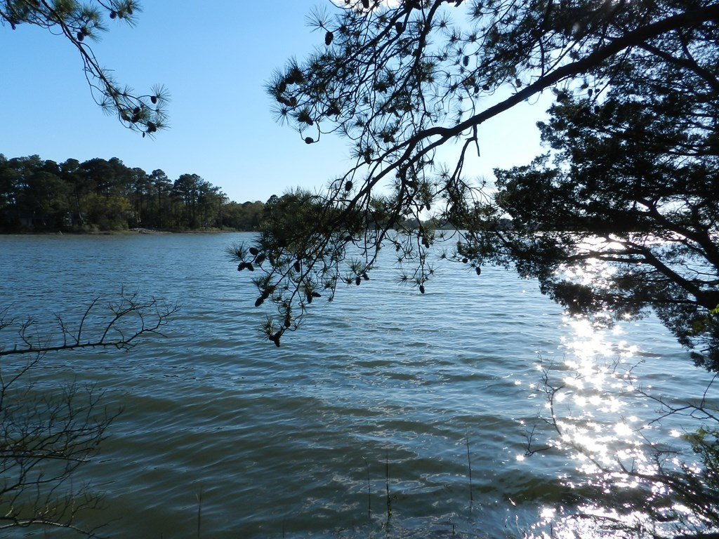Picture 7