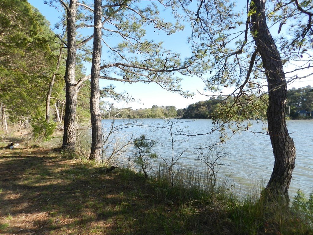 Picture 8