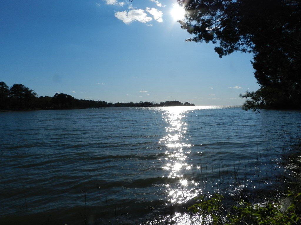 Picture 9