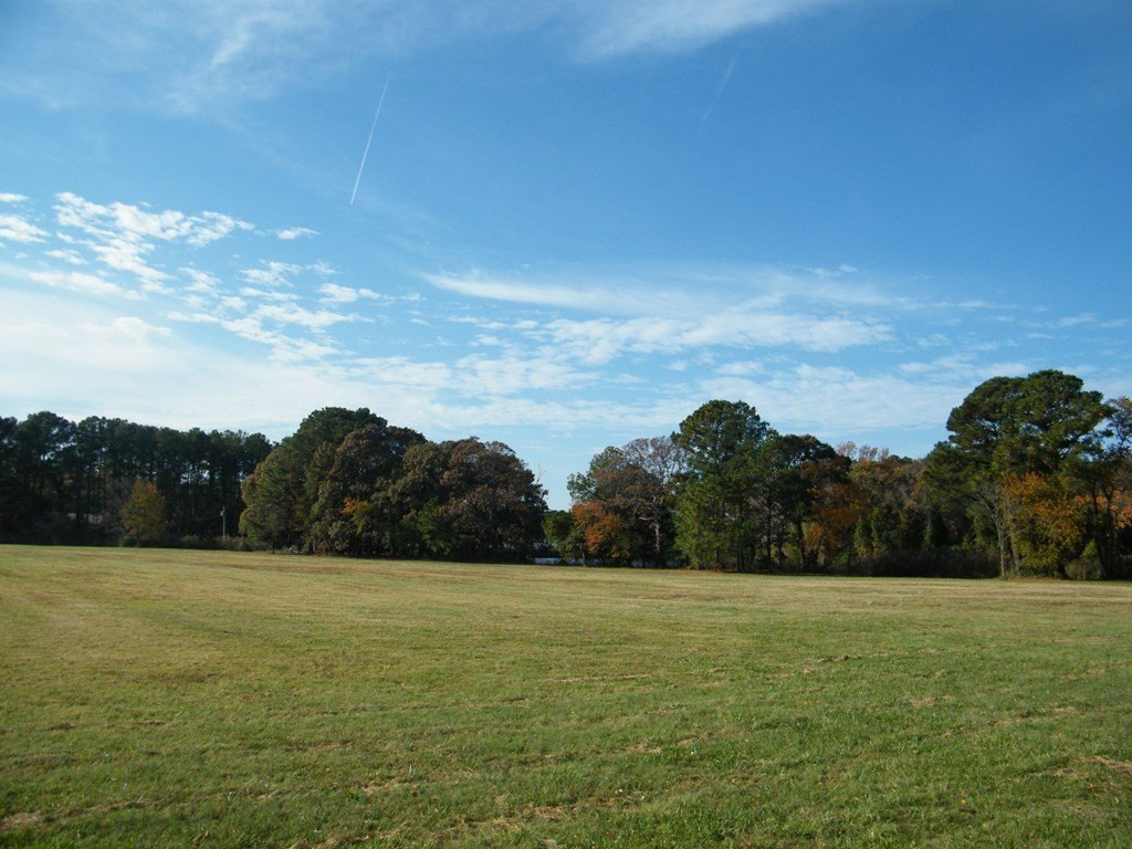 Picture 19