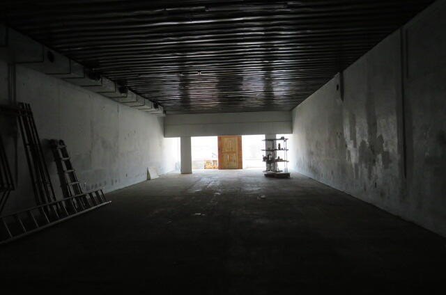 Picture 5