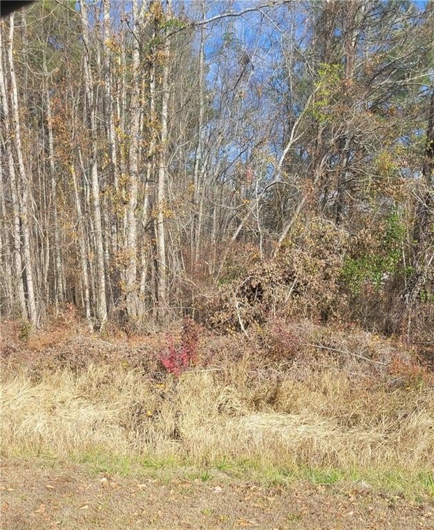 Residential Land in Tuskegee, AL
