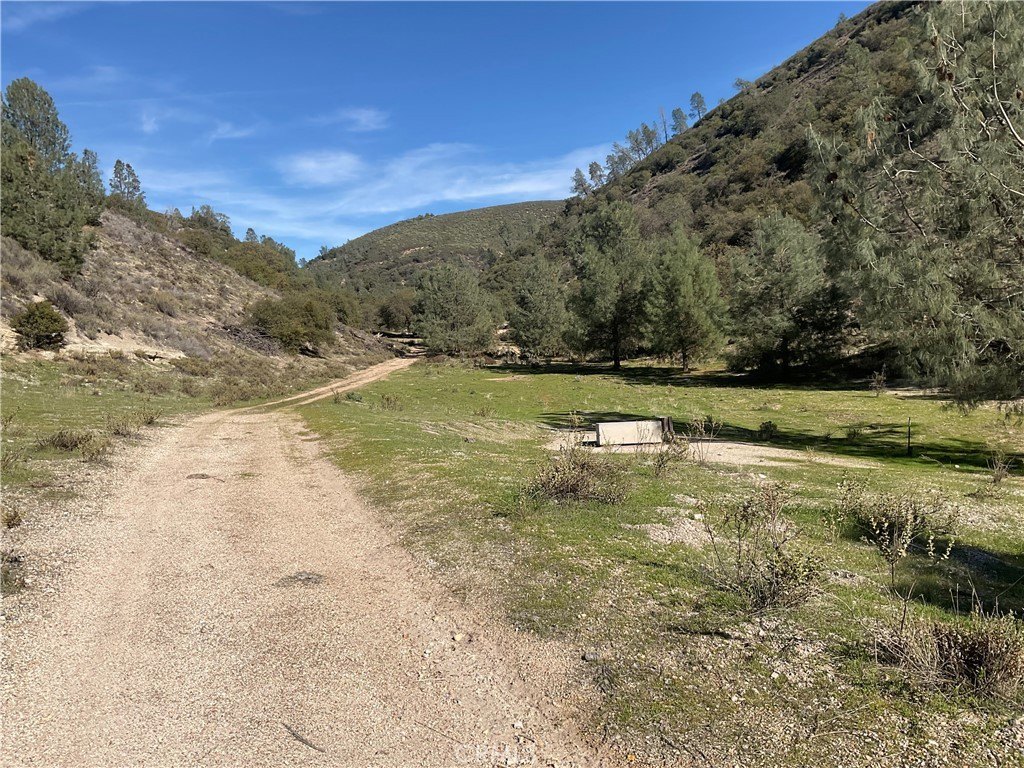 Picture 16