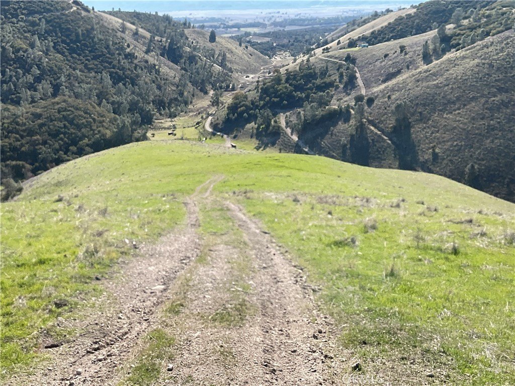 Picture 27
