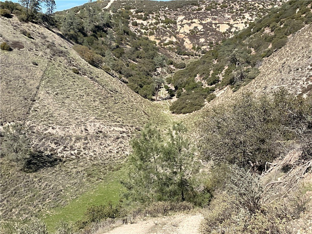 Picture 26