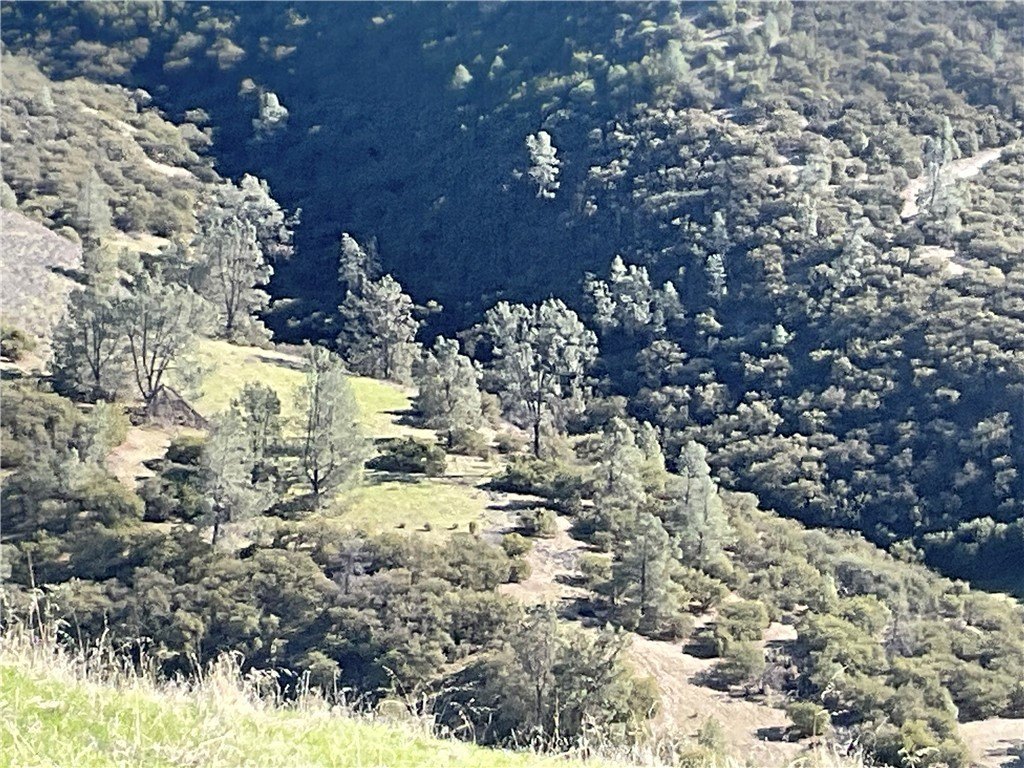 Picture 28