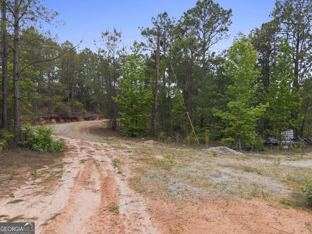 Picture 14