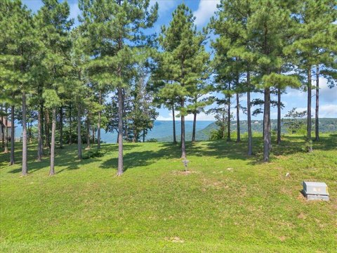 LAND - Jasper, TN