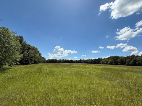 Pasture and Wooded Ranch Land