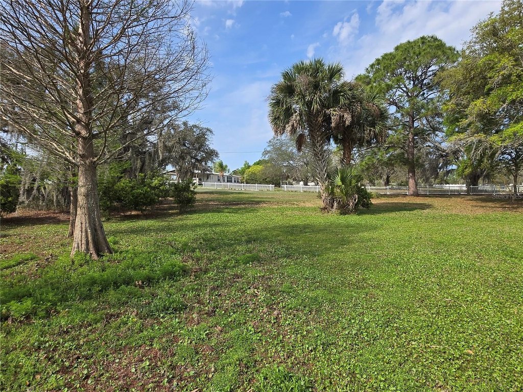 Picture 25