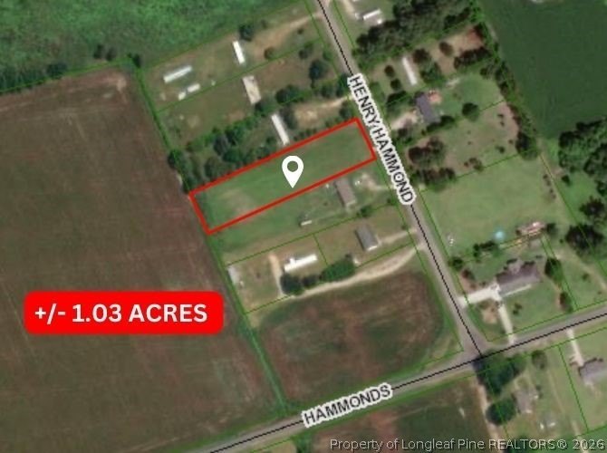 Cleared Land Parcel in Lumberton