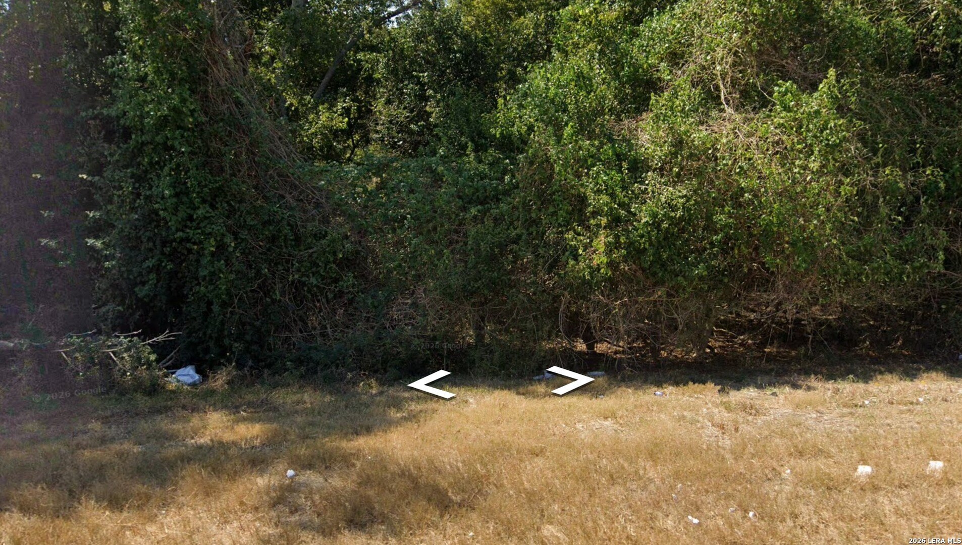 Gonzales, TX Vacant Land