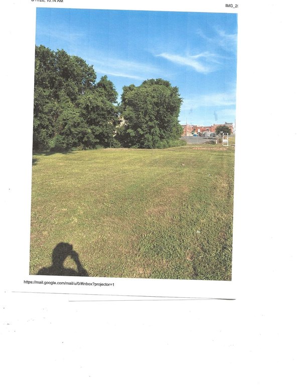 Picture 8