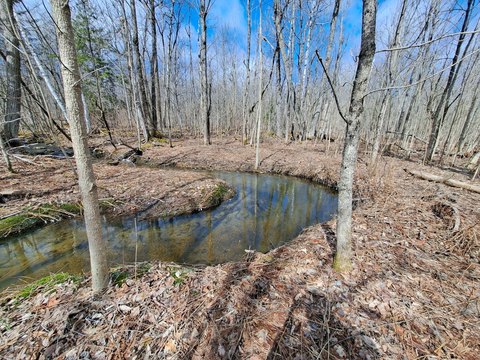 Recreational Forestland with Clearcuts