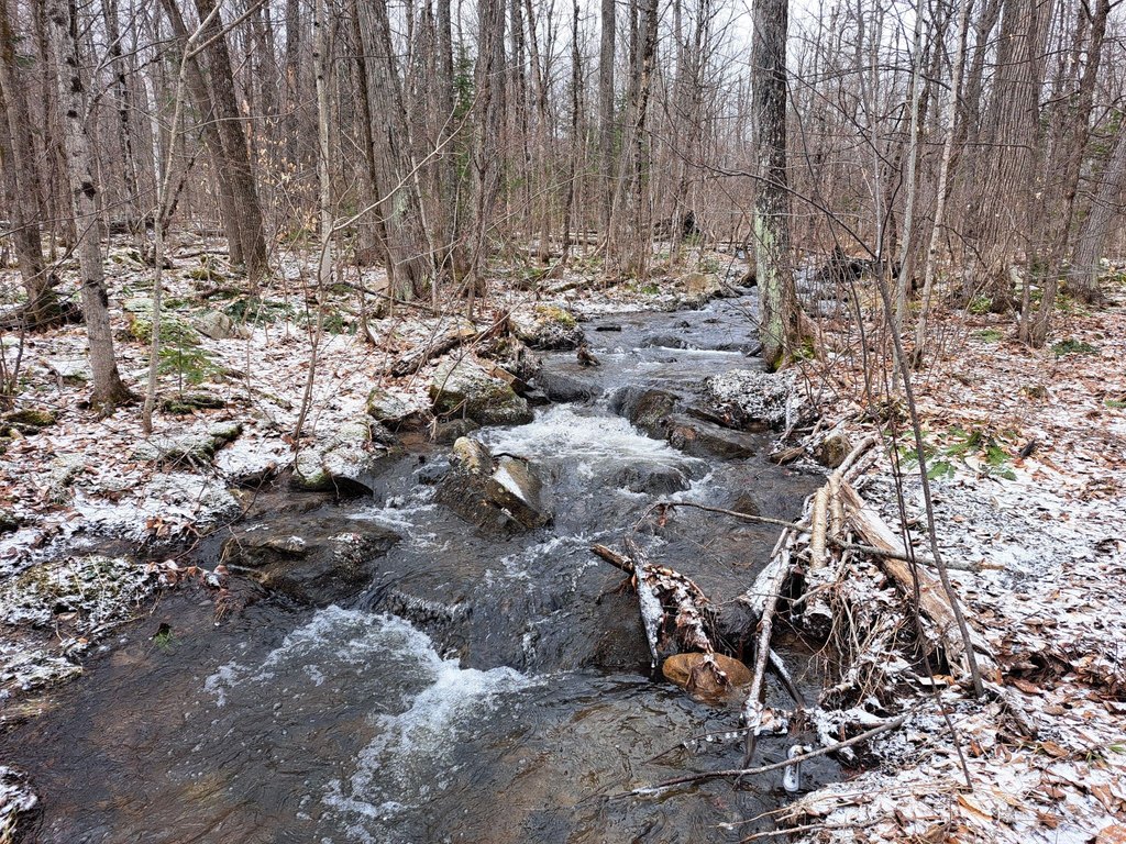 Picture 18