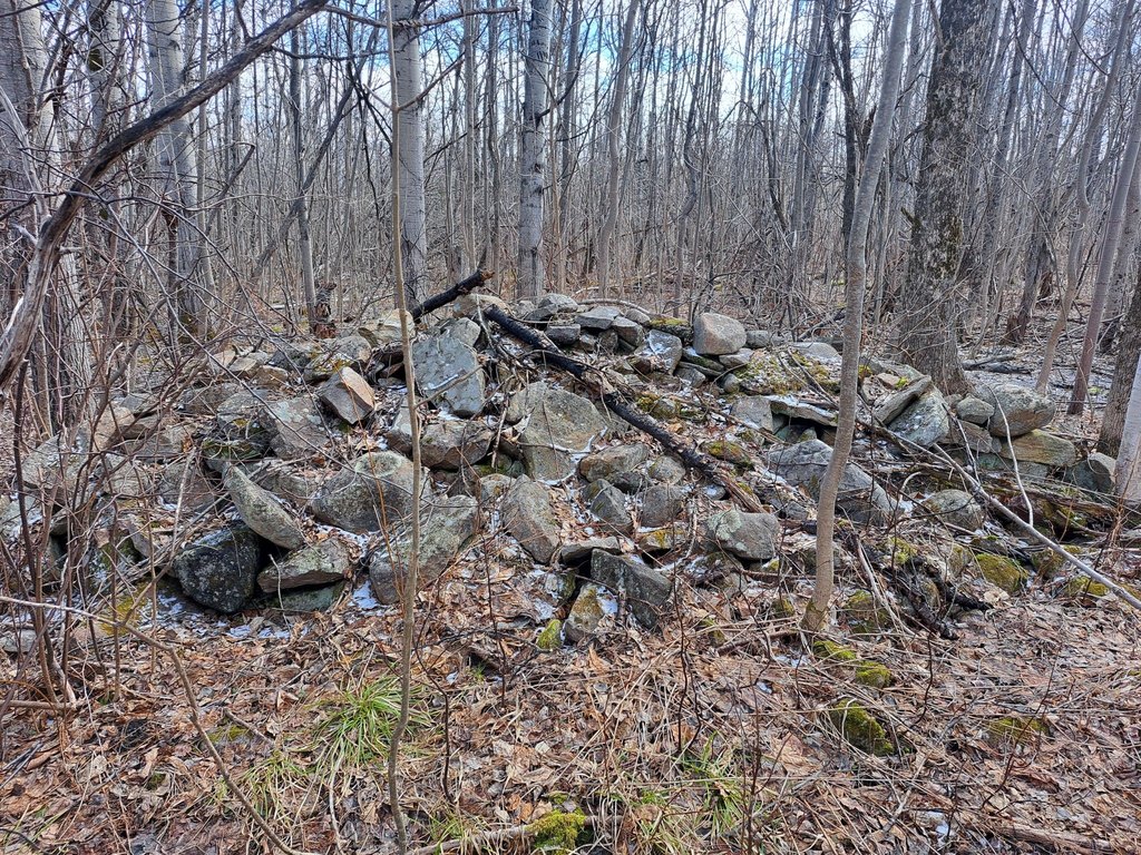 Picture 26