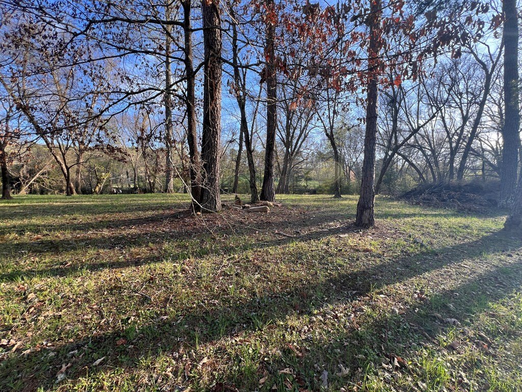 Picture 21