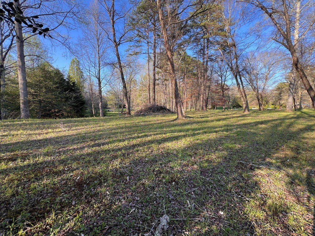 Picture 17