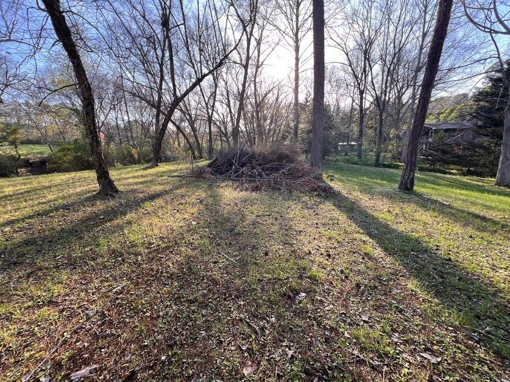 Picture 19