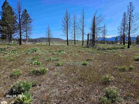 Lake Shastina Homesite Opportunity