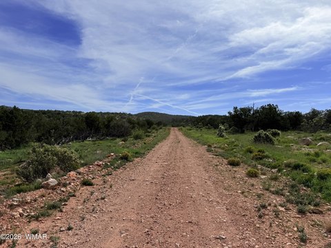 Land, Seligman, AZ