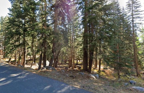 Wooded Land in Bear Valley