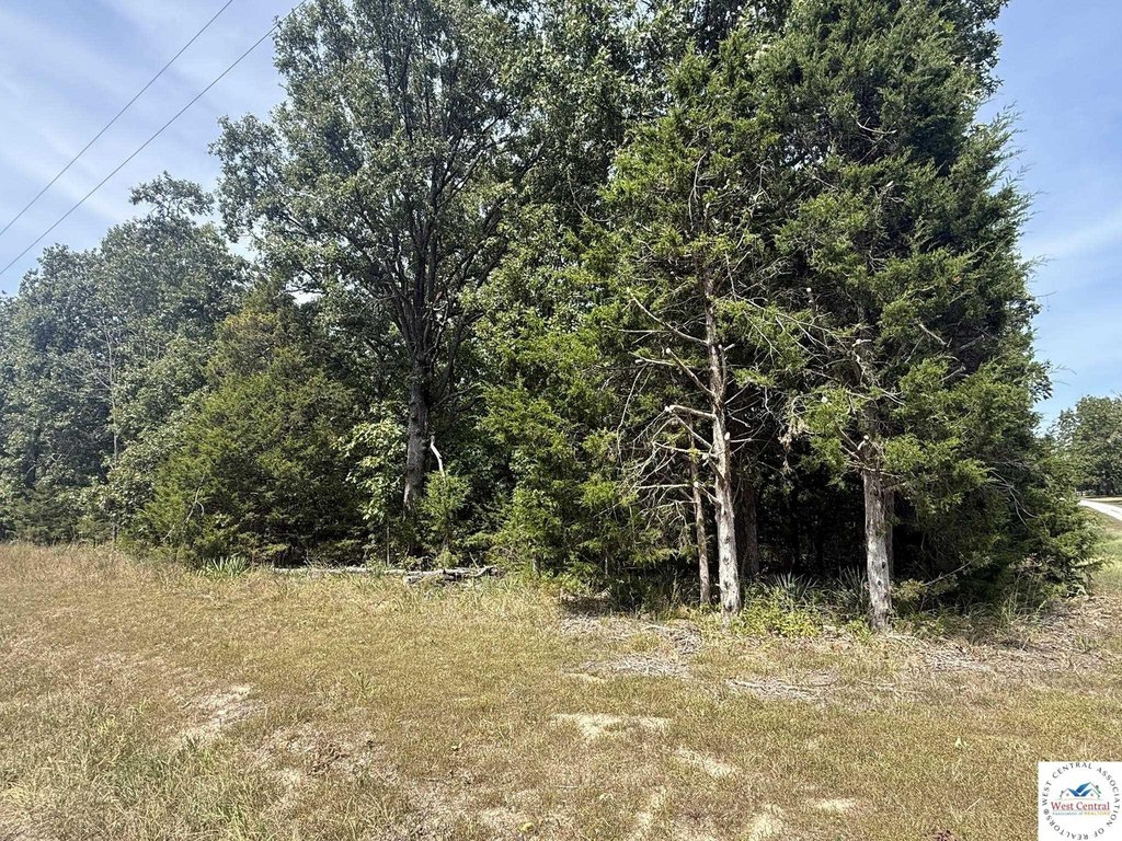 Picture 3
