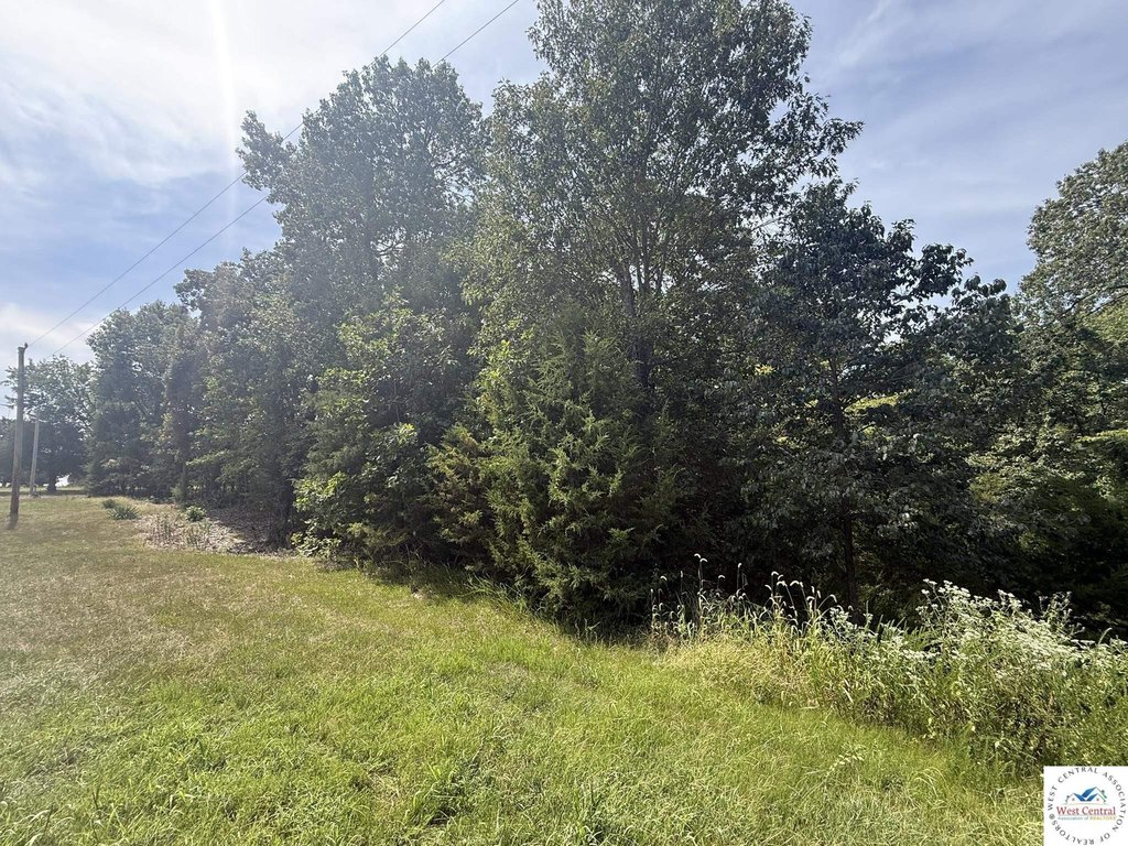 Picture 5