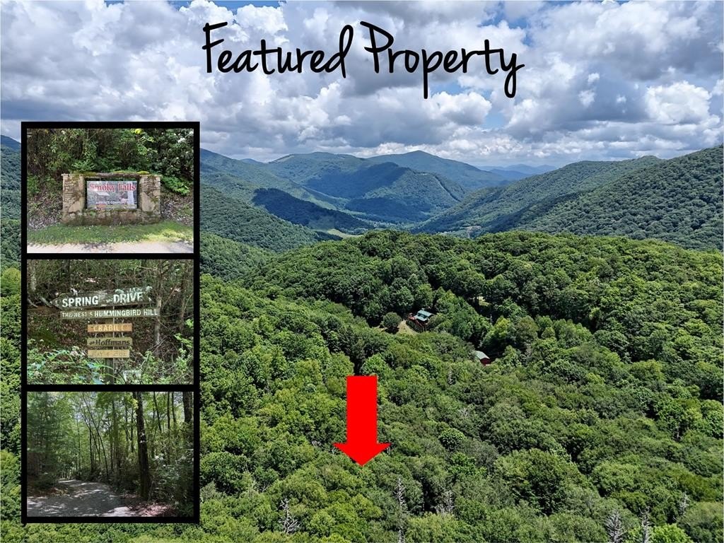 Maggie Valley Wooded Lot