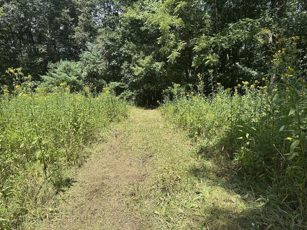 Picture 8