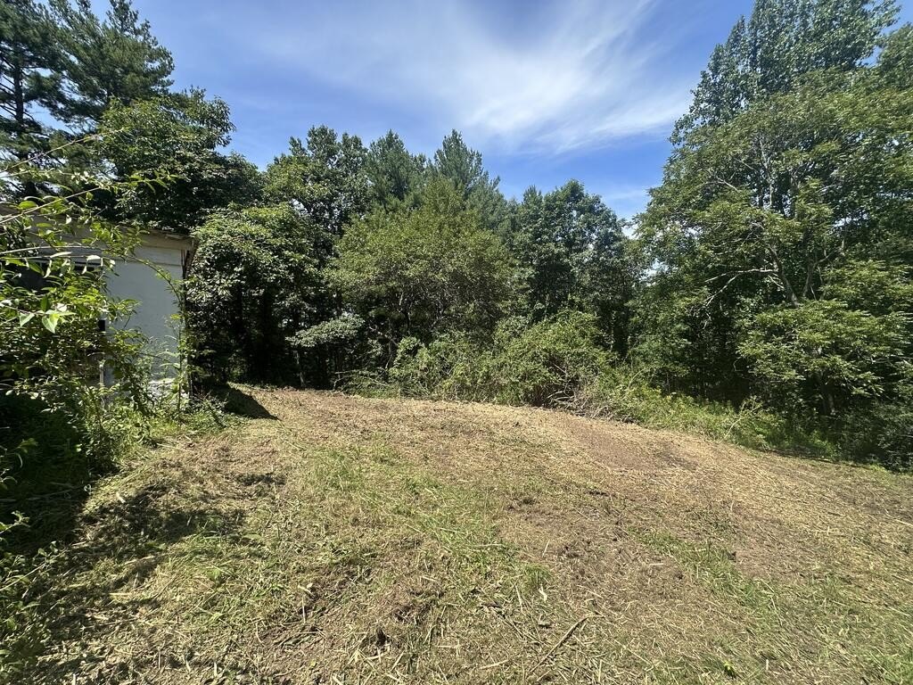 Picture 22
