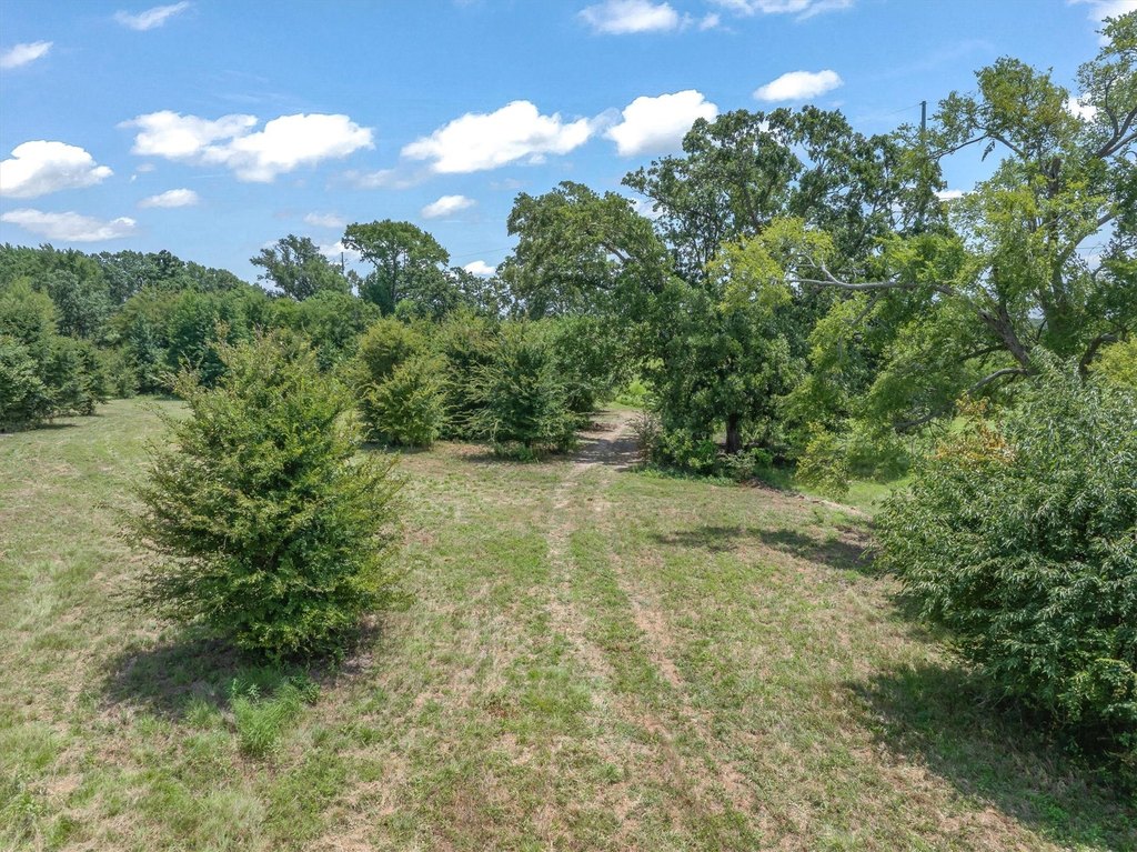 Picture 21