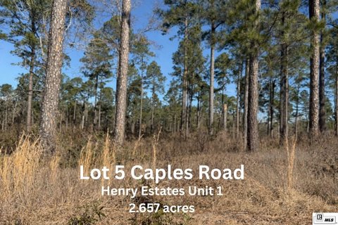 LAND - West Monroe, LA