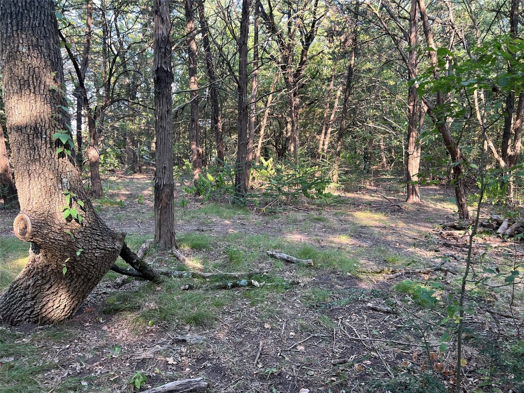 Picture 4