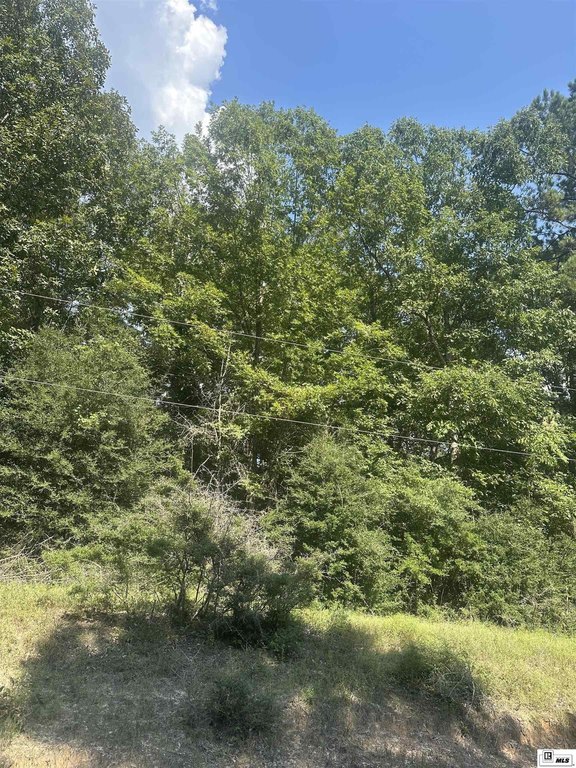 Picture 4