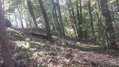 Marietta Land with Creek