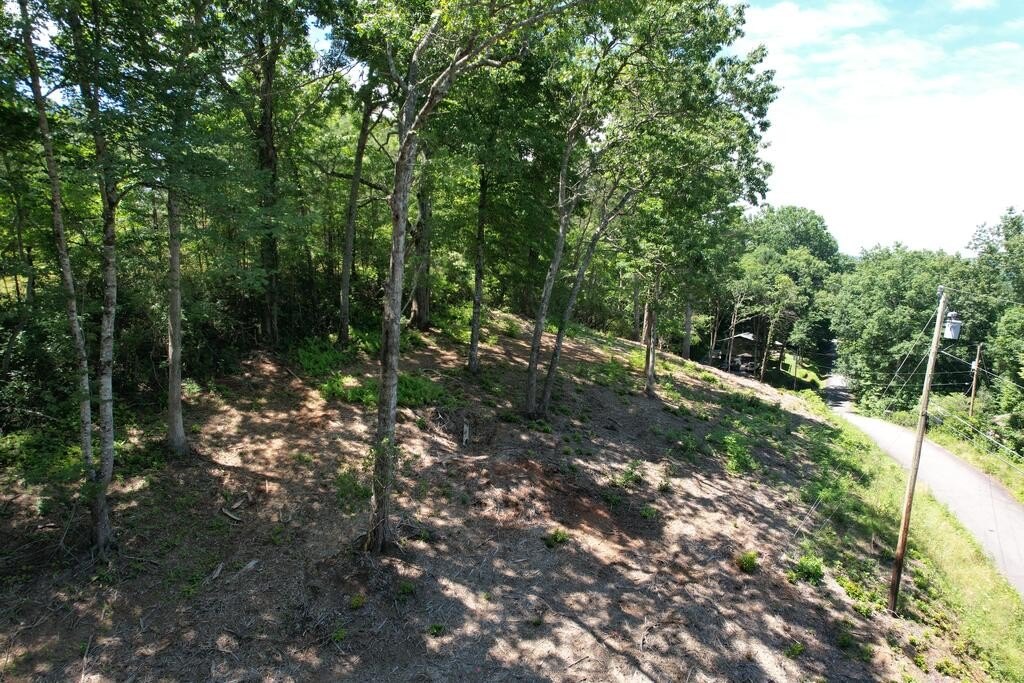Picture 7