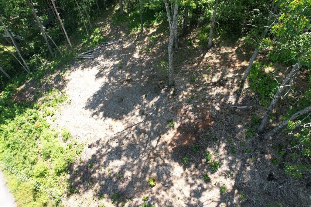 Picture 8