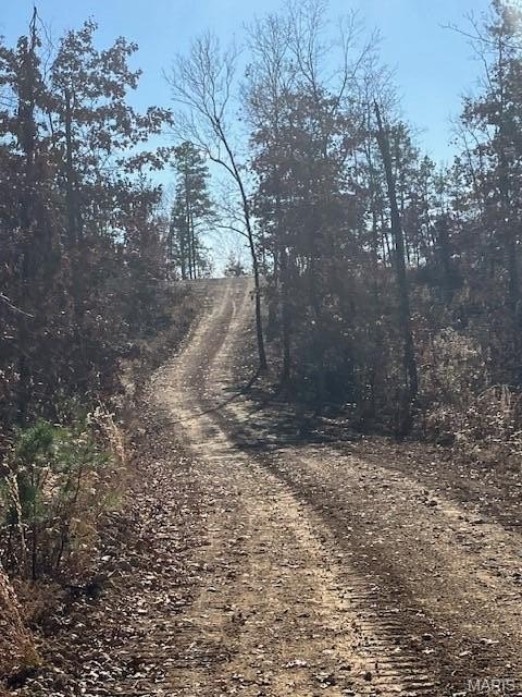 Wooded Acreage Near National Forest