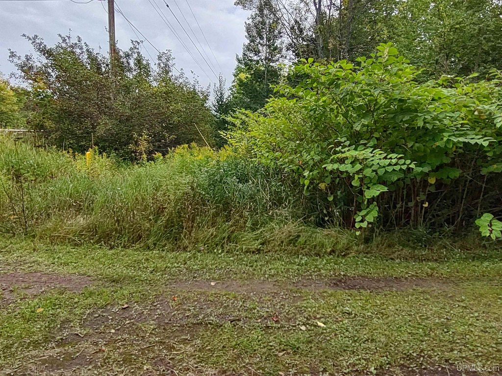 Picture 23